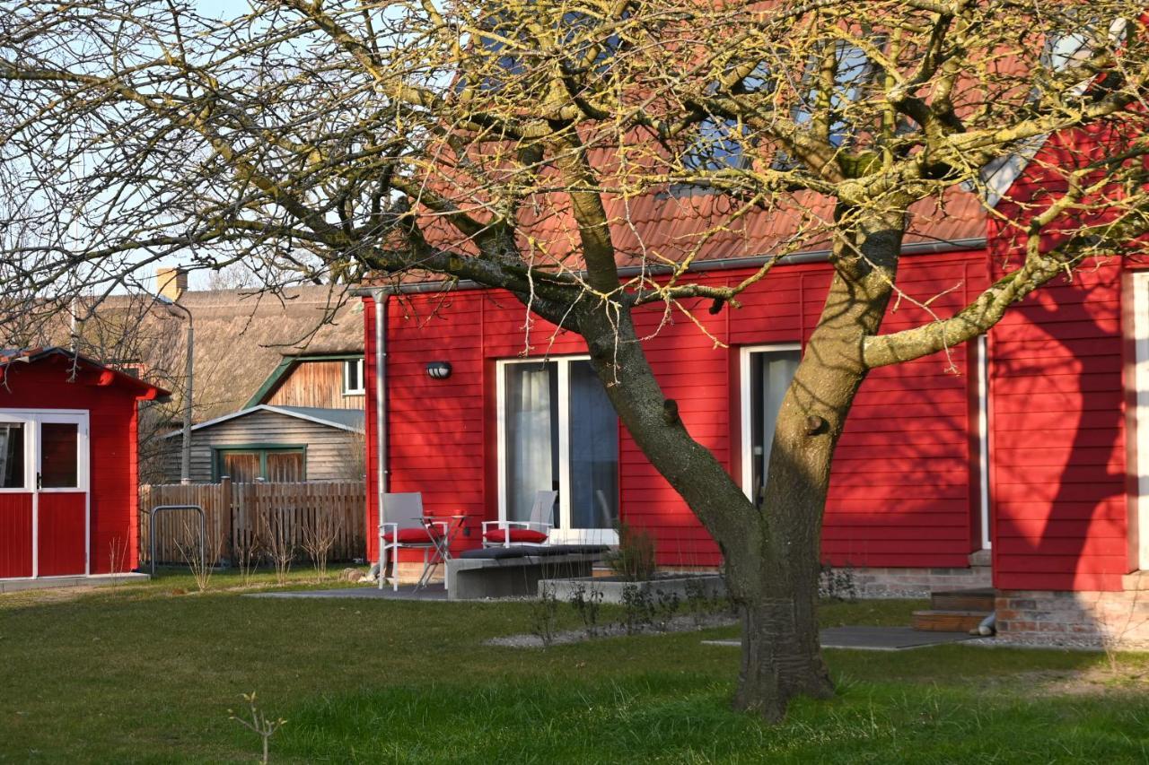 Ferienwohnung Rote Kate Born Eksteriør billede